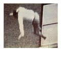 A man falling from a window